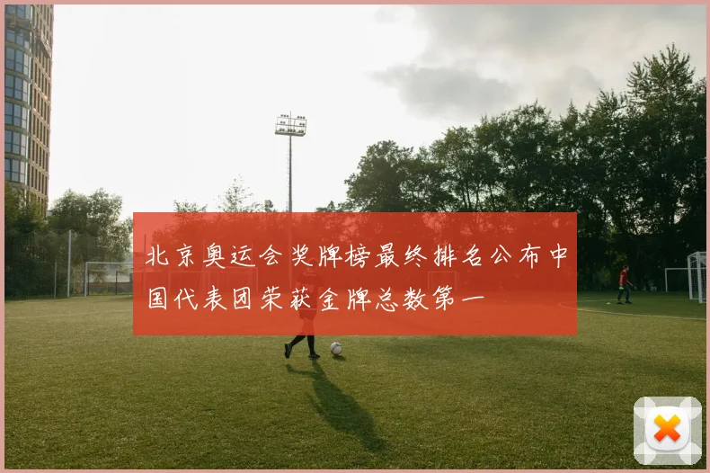 北京奥运会奖牌榜最终排名公布中国代表团荣获金牌总数第一